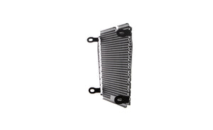 Evotech Aprilia Shiver SL 750 Radiator Guard (2007 - 2016)