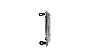 Evotech Aprilia Shiver SL 750 Radiator Guard (2017)