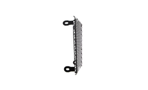 Evotech Radiator Guard - Aprilia Dorsoduro 750 (2017)