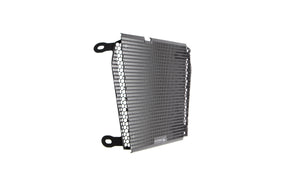 Evotech Aprilia Shiver SL 750 Radiator Guard (2017)
