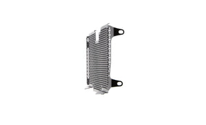 Evotech Radiator Guard - BMW R 1250 R Exclusive (2019+)