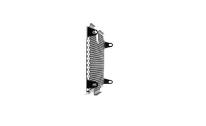 Evotech Radiator Guard - BMW R 1200 R (2015 - 2018)