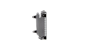 Evotech Radiator Guard - BMW R 1250 R Exclusive (2019+)