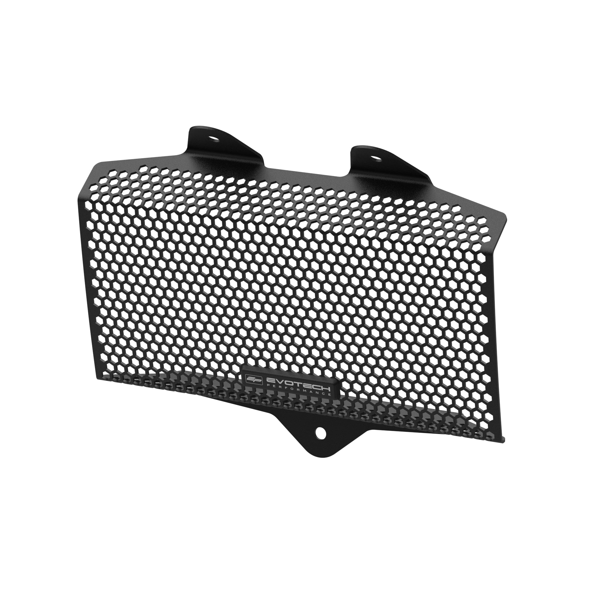 Evotech Radiator Guard - BMW R 12 NineT (2024+)