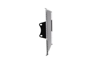 Evotech Ducati Multistrada 1260 Enduro Pro Radiator Guard (2019)