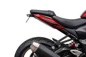 Evotech Tail Tidy (Clear Rear Light) - Triumph Trident 800 (2026+)