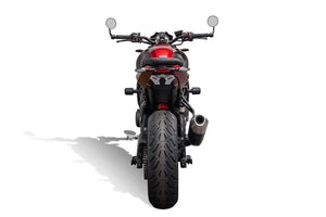 Evotech Tail Tidy (Red Rear Light) - Triumph Trident 660 (2026+)