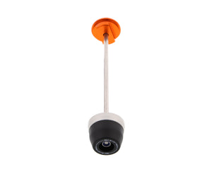 Evotech Rear Spindle Bobbins - KTM 1290 Super Duke RR (2021+)
