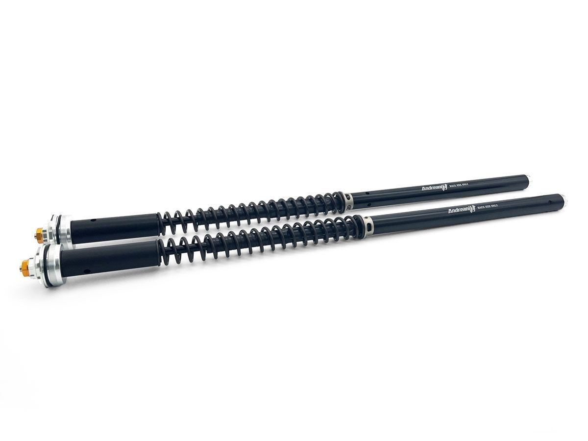 CFD110/H03E - HONDA XADV 2017-22 ADJ. CARTRIDGE KIT