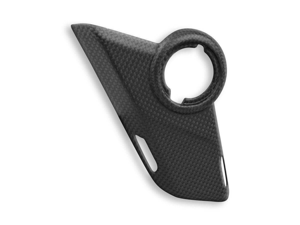 CRB100O - MTS V4 MATT CARBON SIDE PANELS