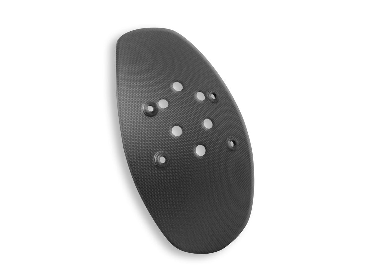 CRB95O - DIAVEL 1260/V4 MATT CARBON NUMBER PLATE FENDER