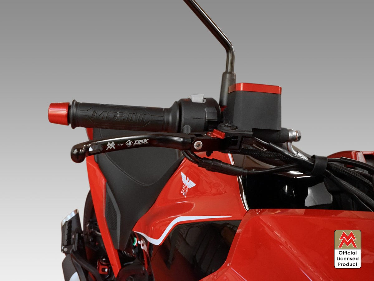 LE22 - BRAKE / CLUTCH ADJ. LEVERS ECO GP 1