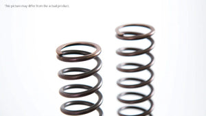 Spring.Fr.fork 44.0/455/5.2 (PAIR)