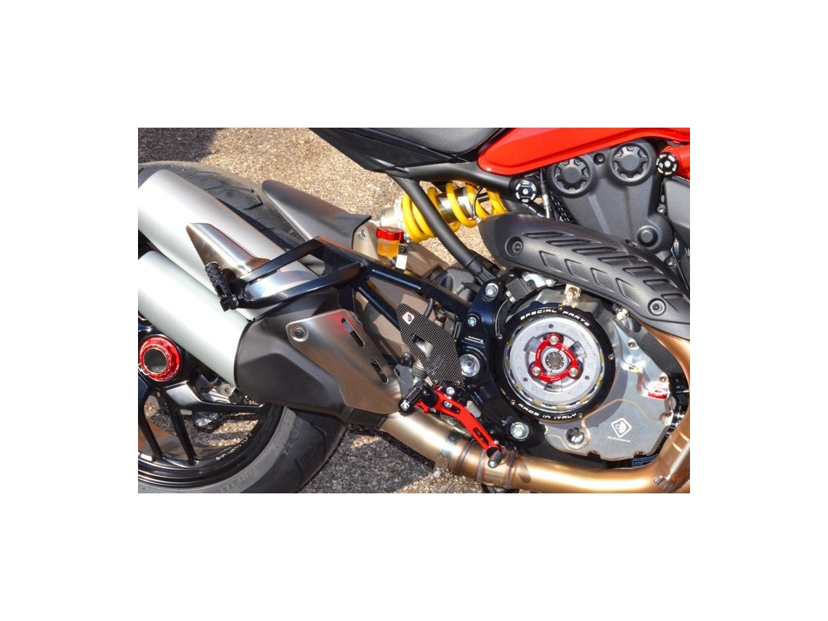 PPM1201DD - KIT PASSENGER PEGS M821/1200