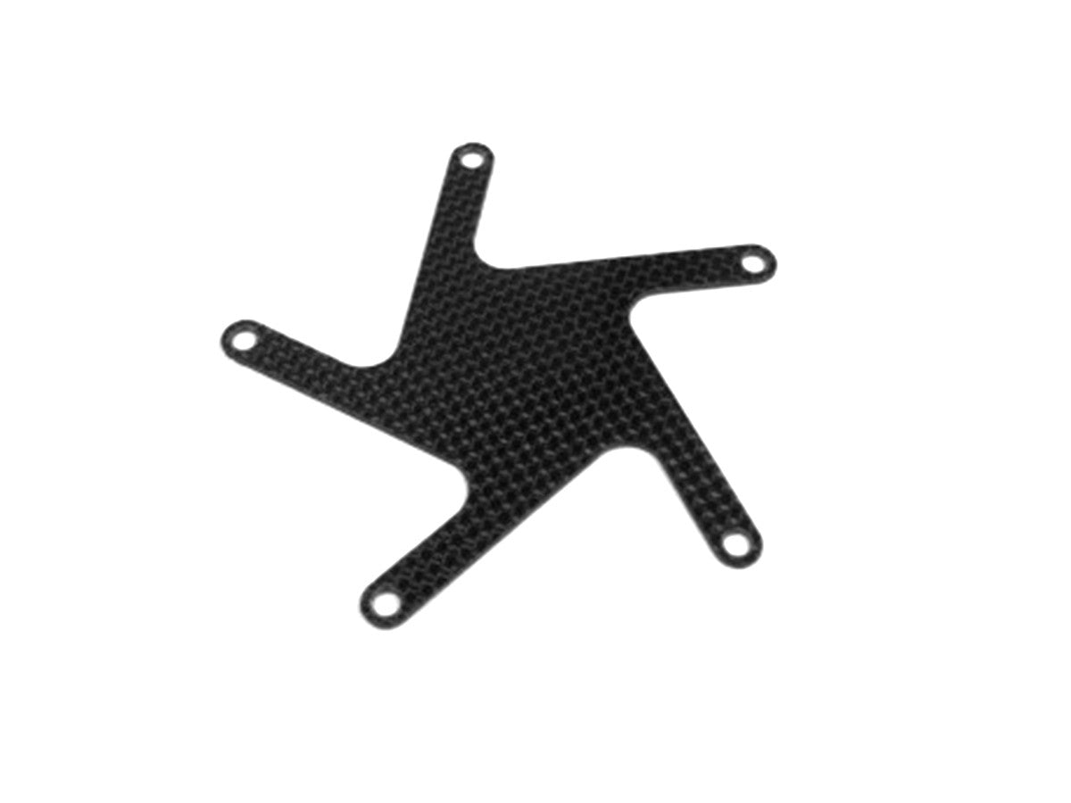 RC02 - CARBON COVER