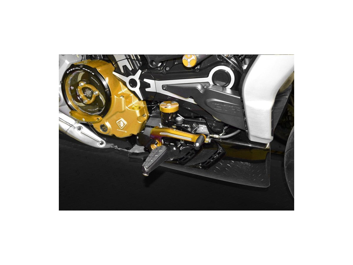 RPLF13 - BRAKE LEVER XDIAVEL
