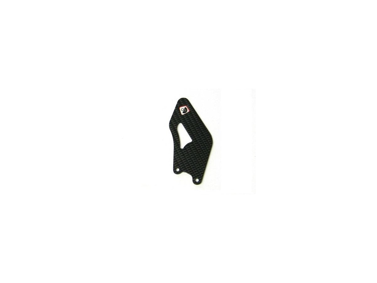 RPPC08 - CARBON GUARDS