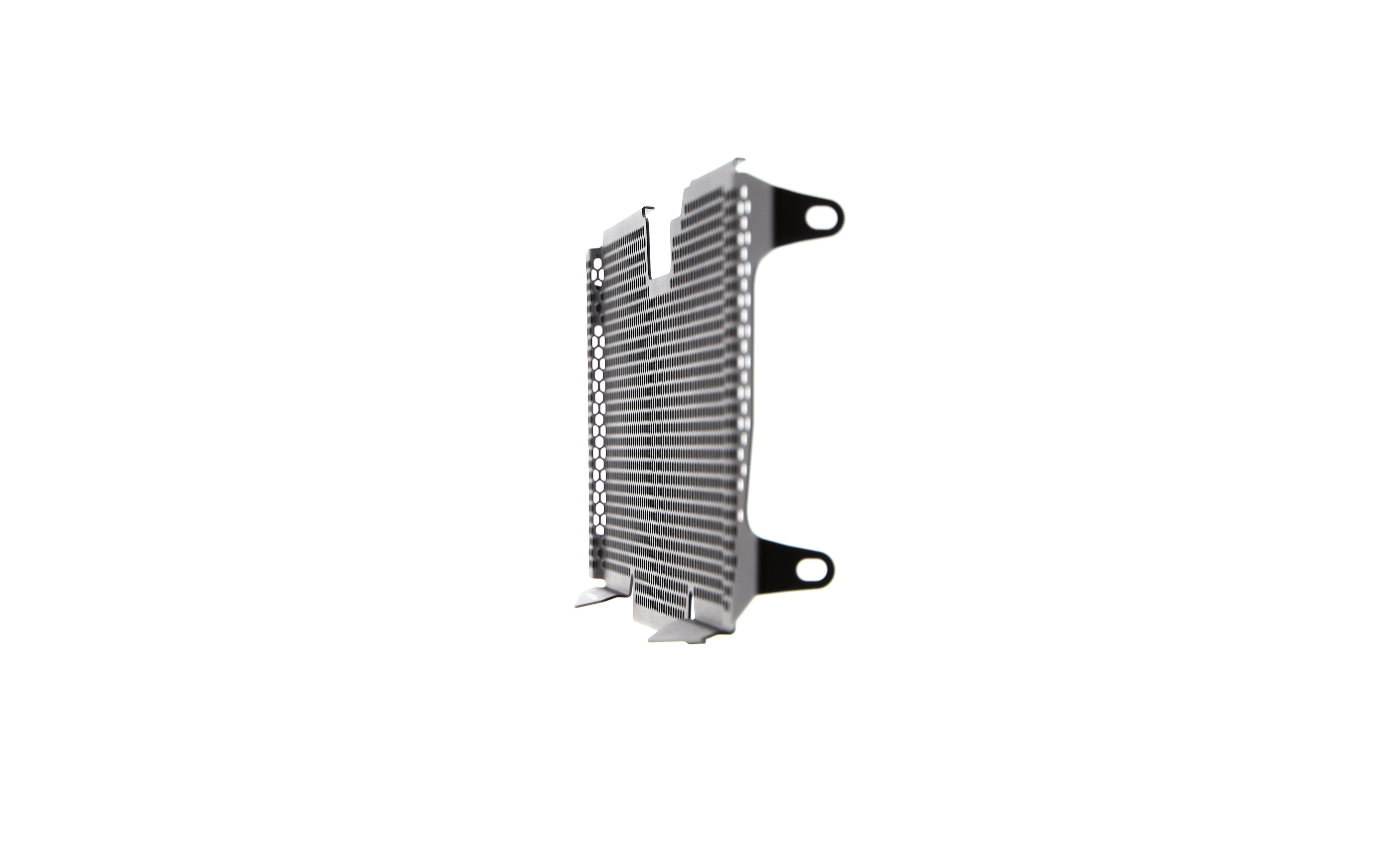 Evotech Radiator Guard - BMW R 1250 RS (2022+)