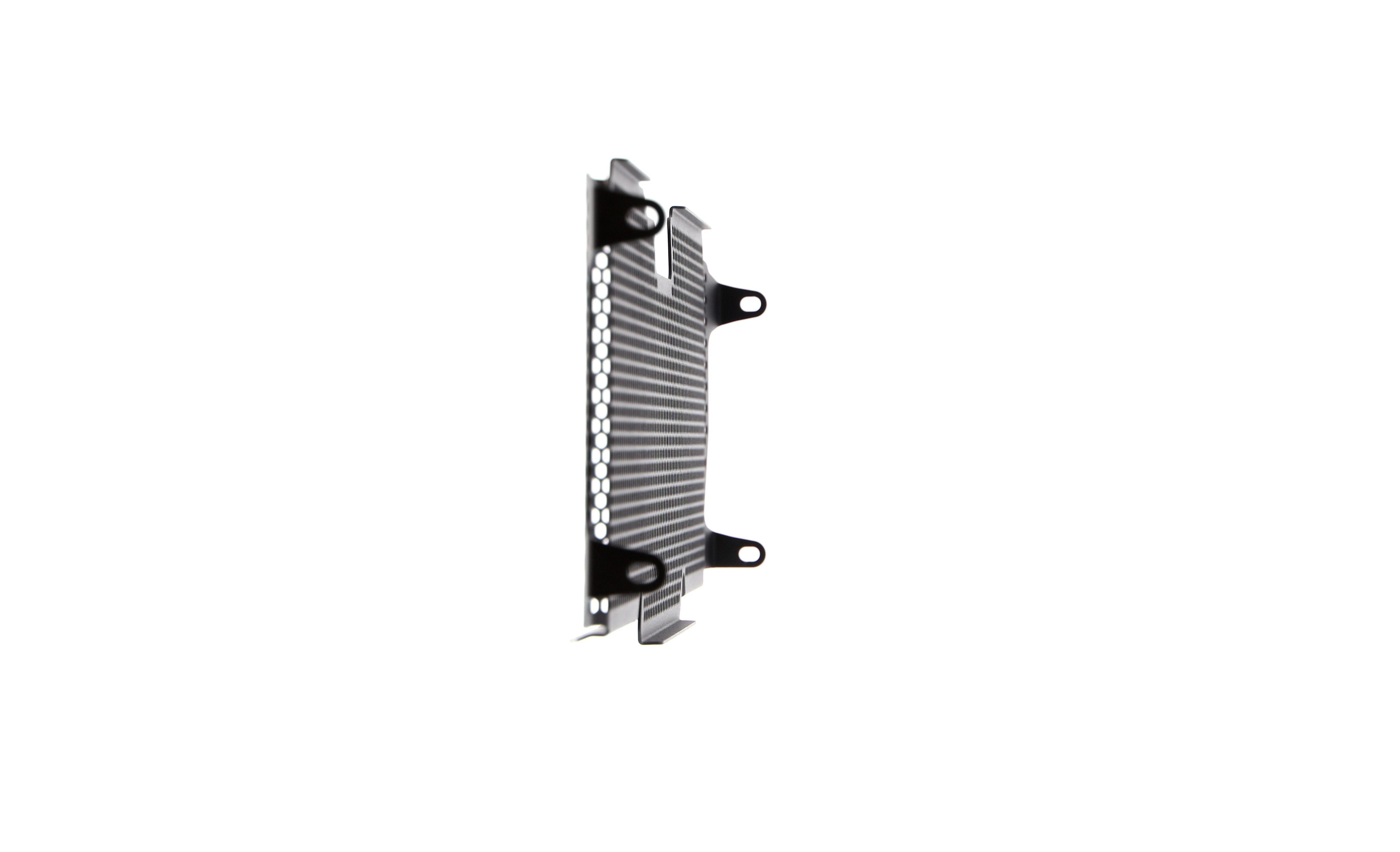 Evotech Radiator Guard - BMW R 1250 RS (2022+)