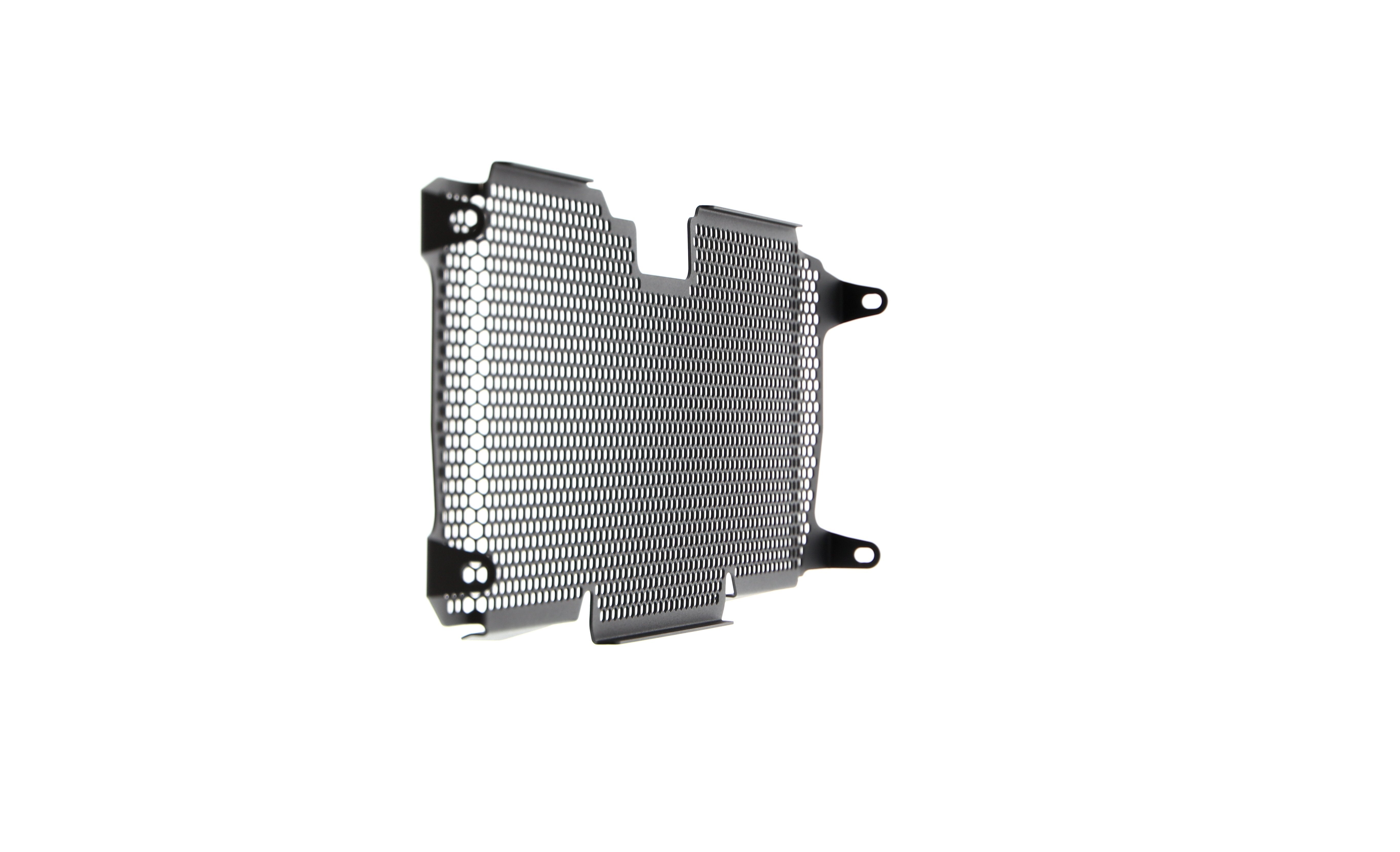 Evotech Radiator Guard - BMW R 1250 RS (2022+)