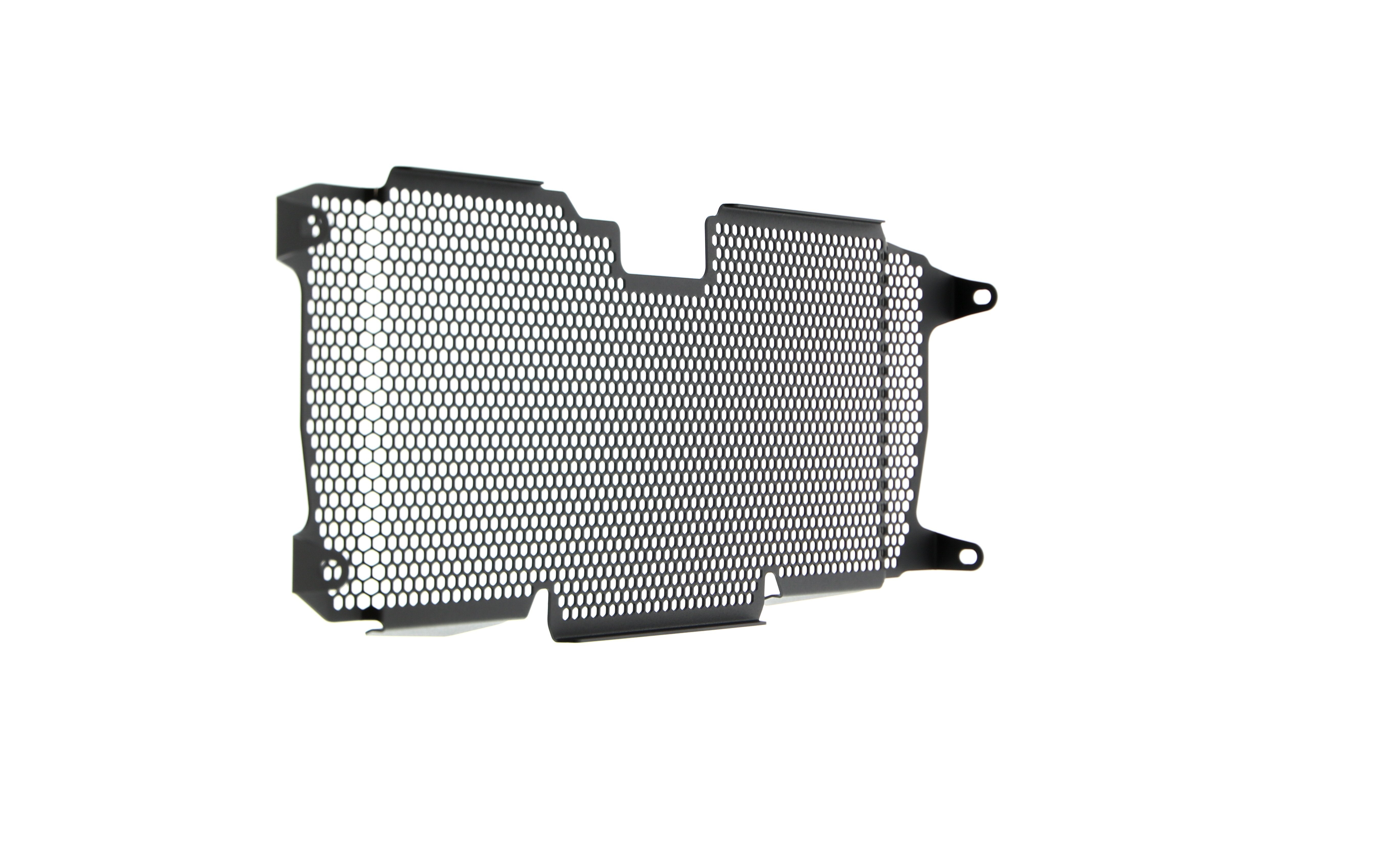 Evotech Radiator Guard - BMW R 1250 RS (2022+)