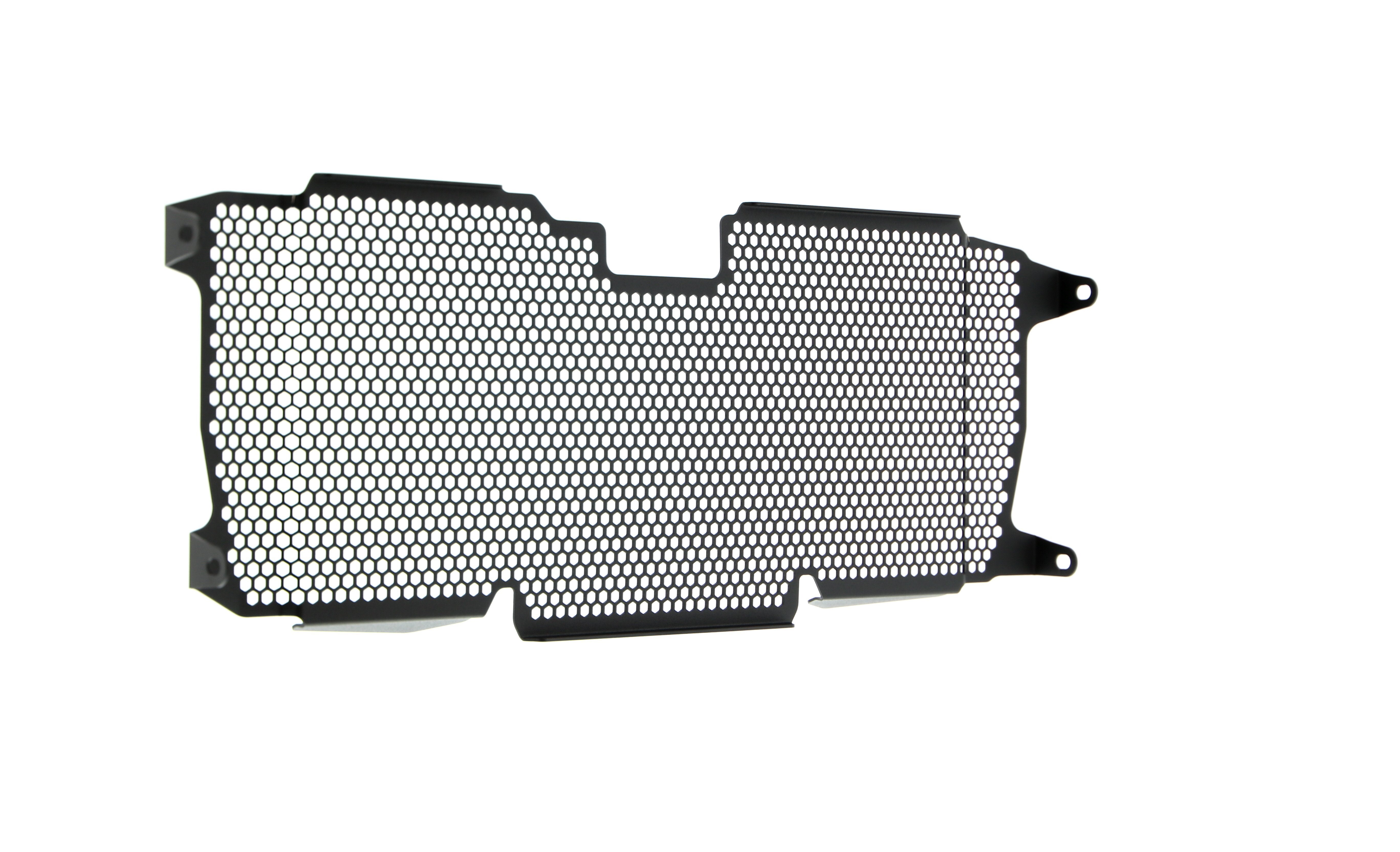 Evotech Radiator Guard - BMW R 1250 RS (2022+)