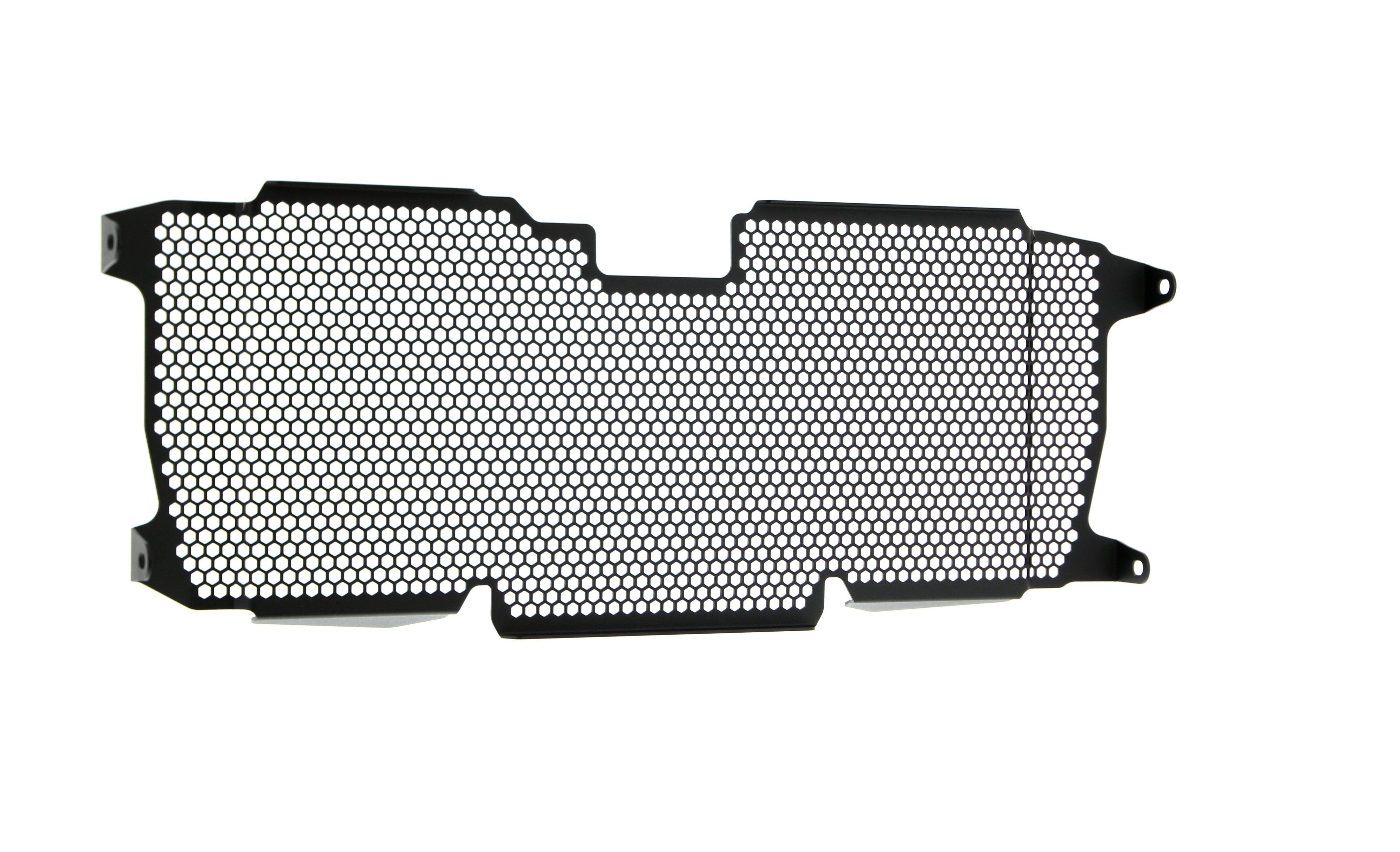 Evotech Radiator Guard - BMW R 1250 RS (2022+)