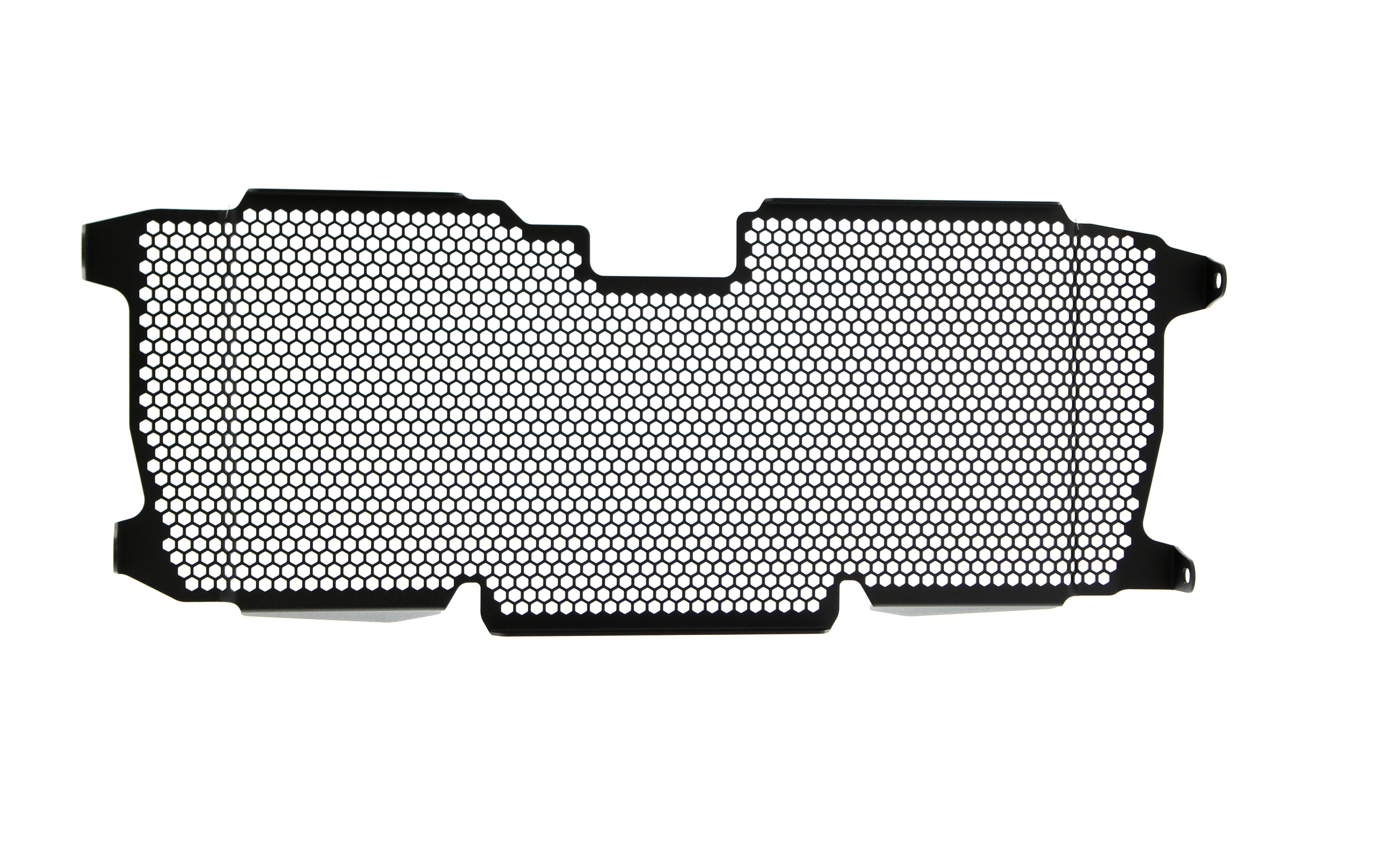 Evotech Radiator Guard - BMW R 1250 RS (2022+)
