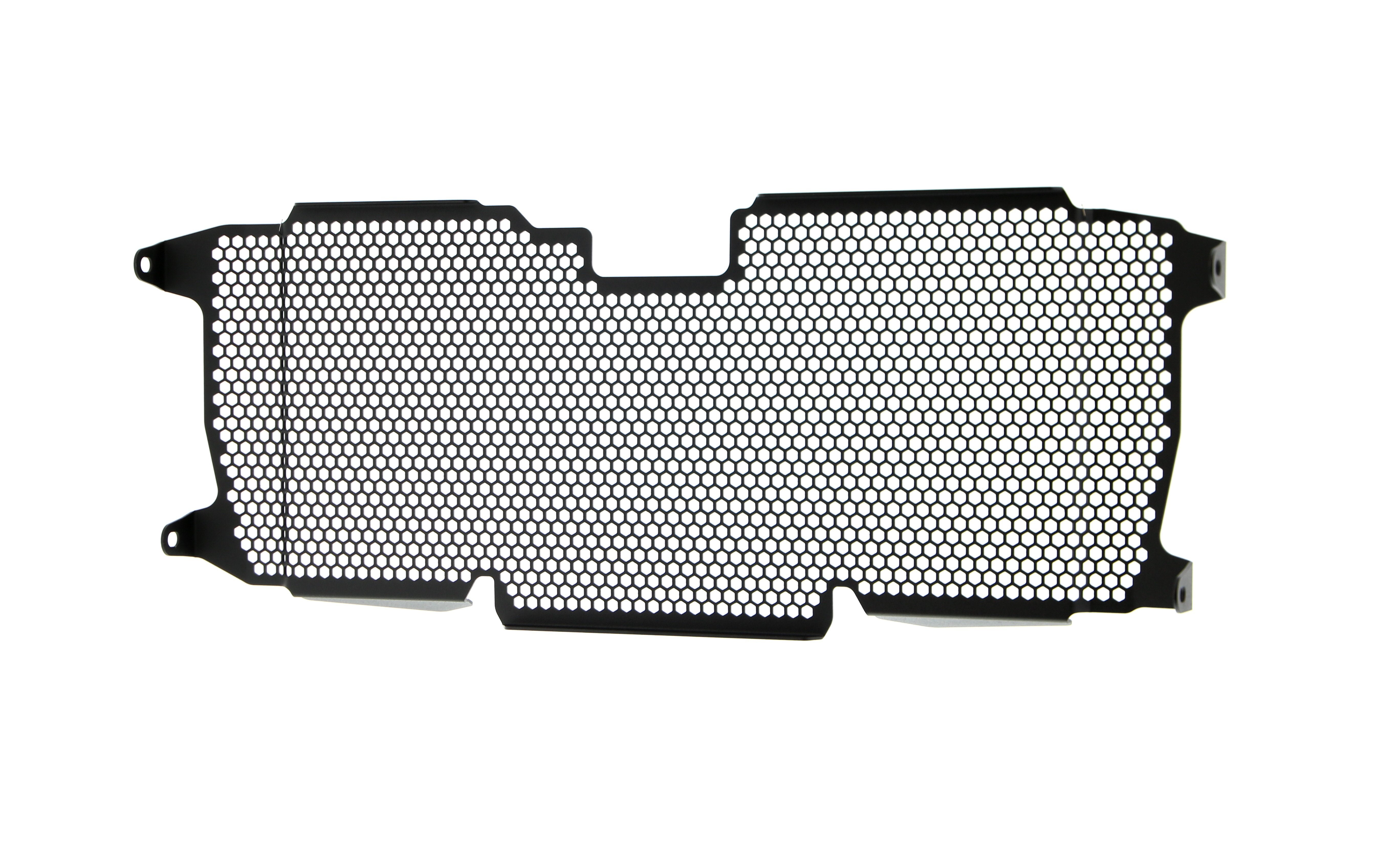 Evotech Radiator Guard - BMW R 1250 RS (2022+)