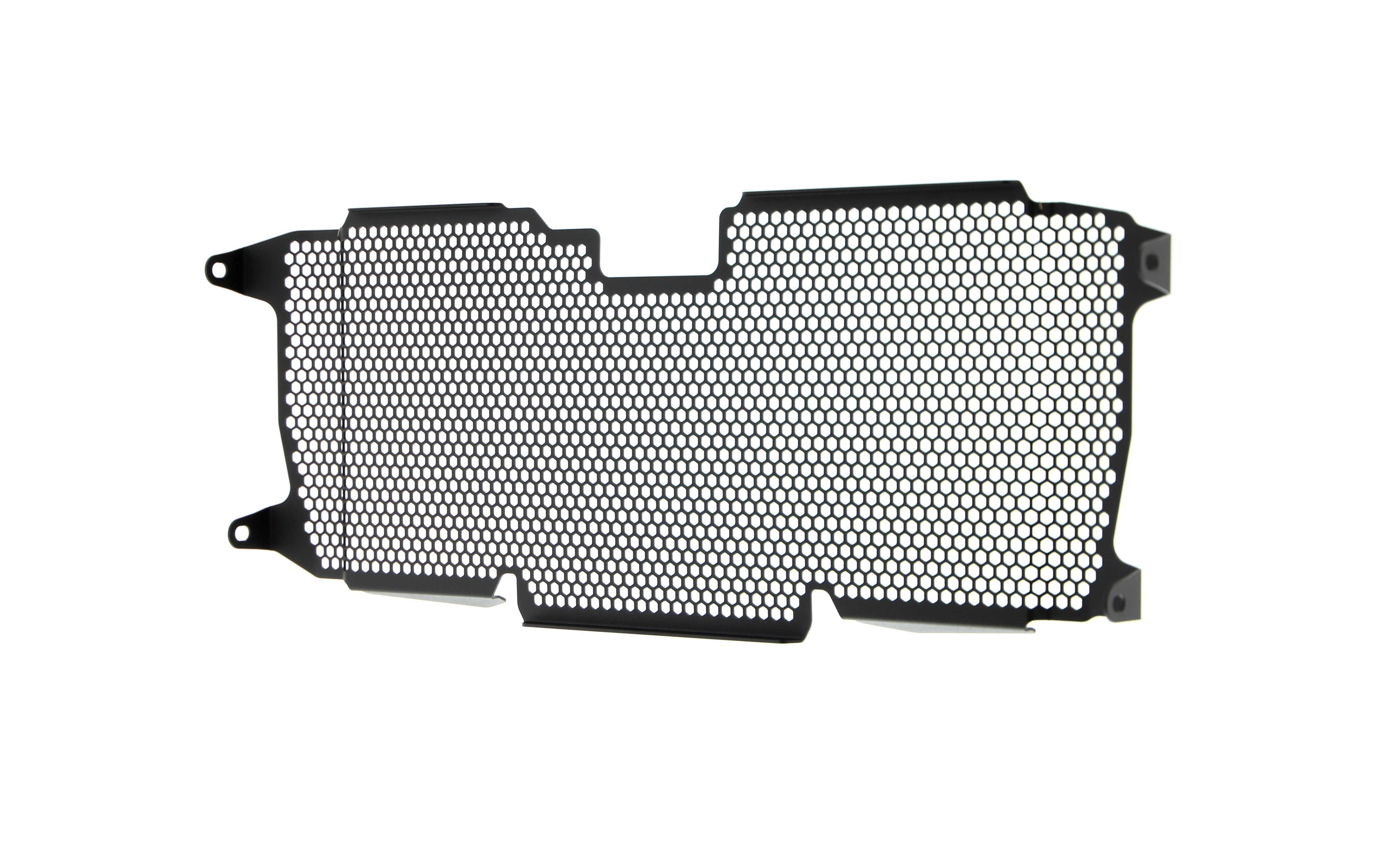 Evotech Radiator Guard - BMW R 1250 RS (2022+)
