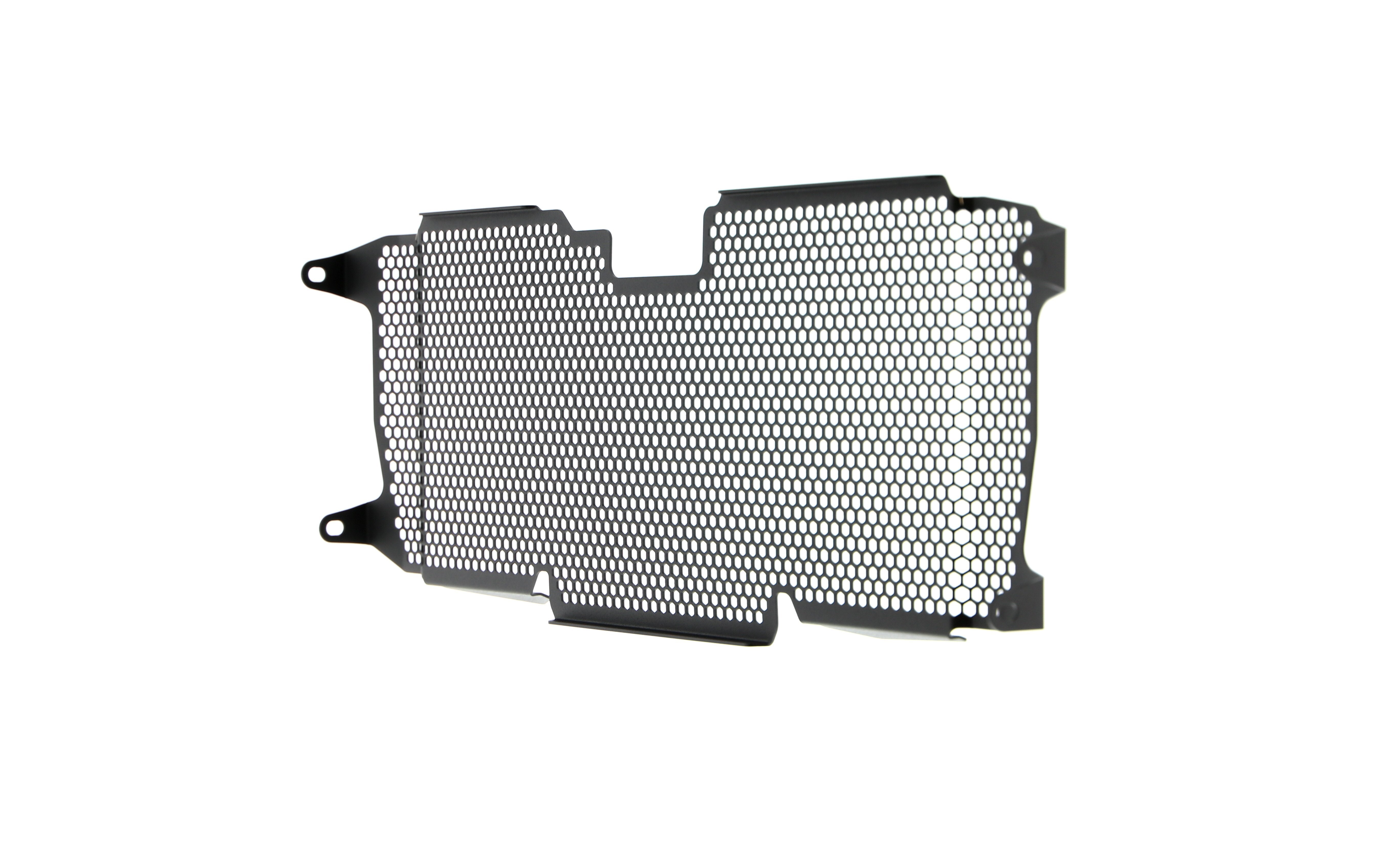 Evotech Radiator Guard - BMW R 1250 RS (2022+)