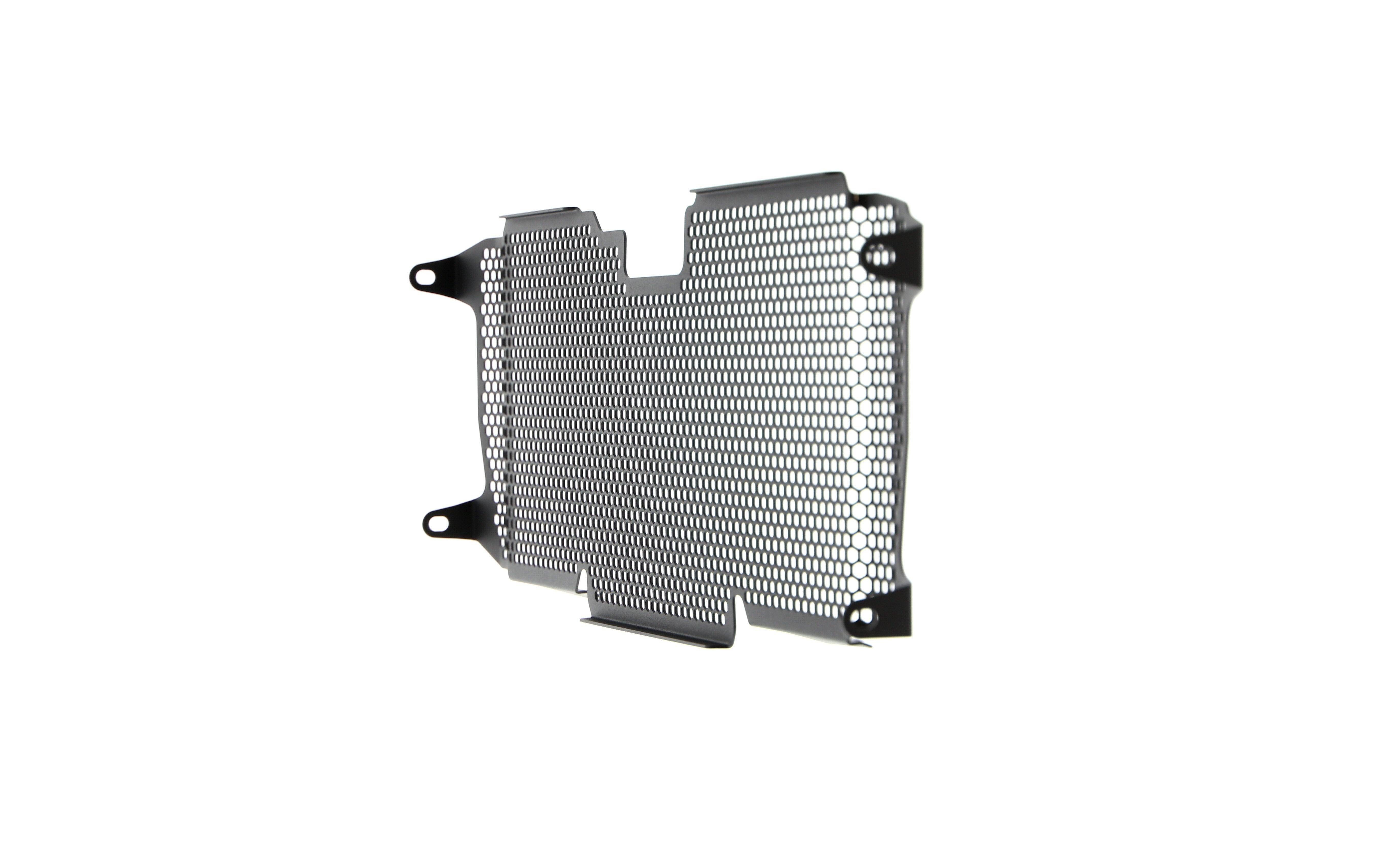 Evotech Radiator Guard - BMW R 1250 RS (2022+)