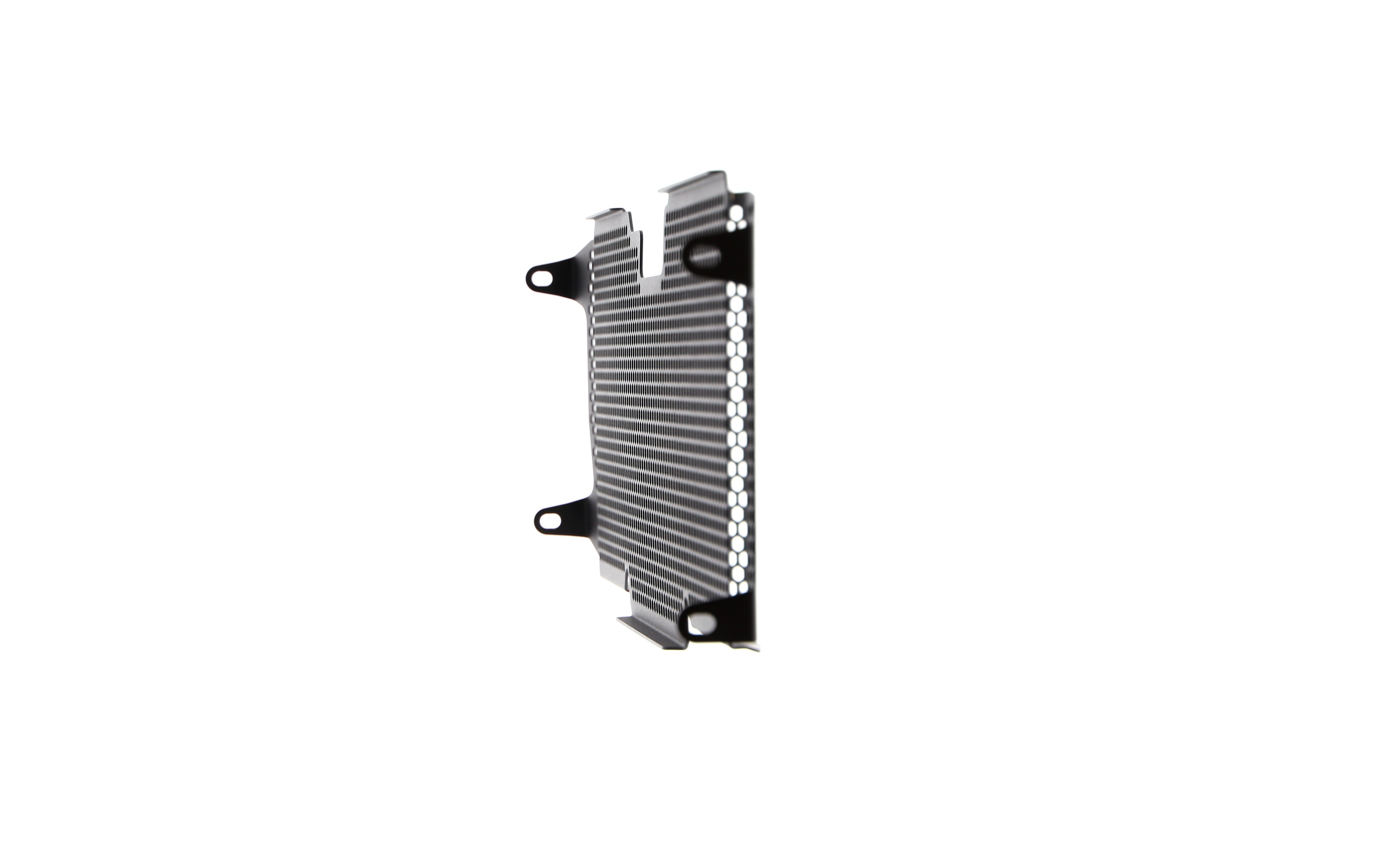 Evotech Radiator Guard - BMW R 1250 RS (2022+)