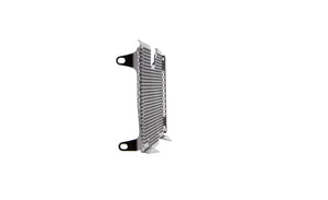 Evotech Radiator Guard - BMW R 1250 RS (2022+)