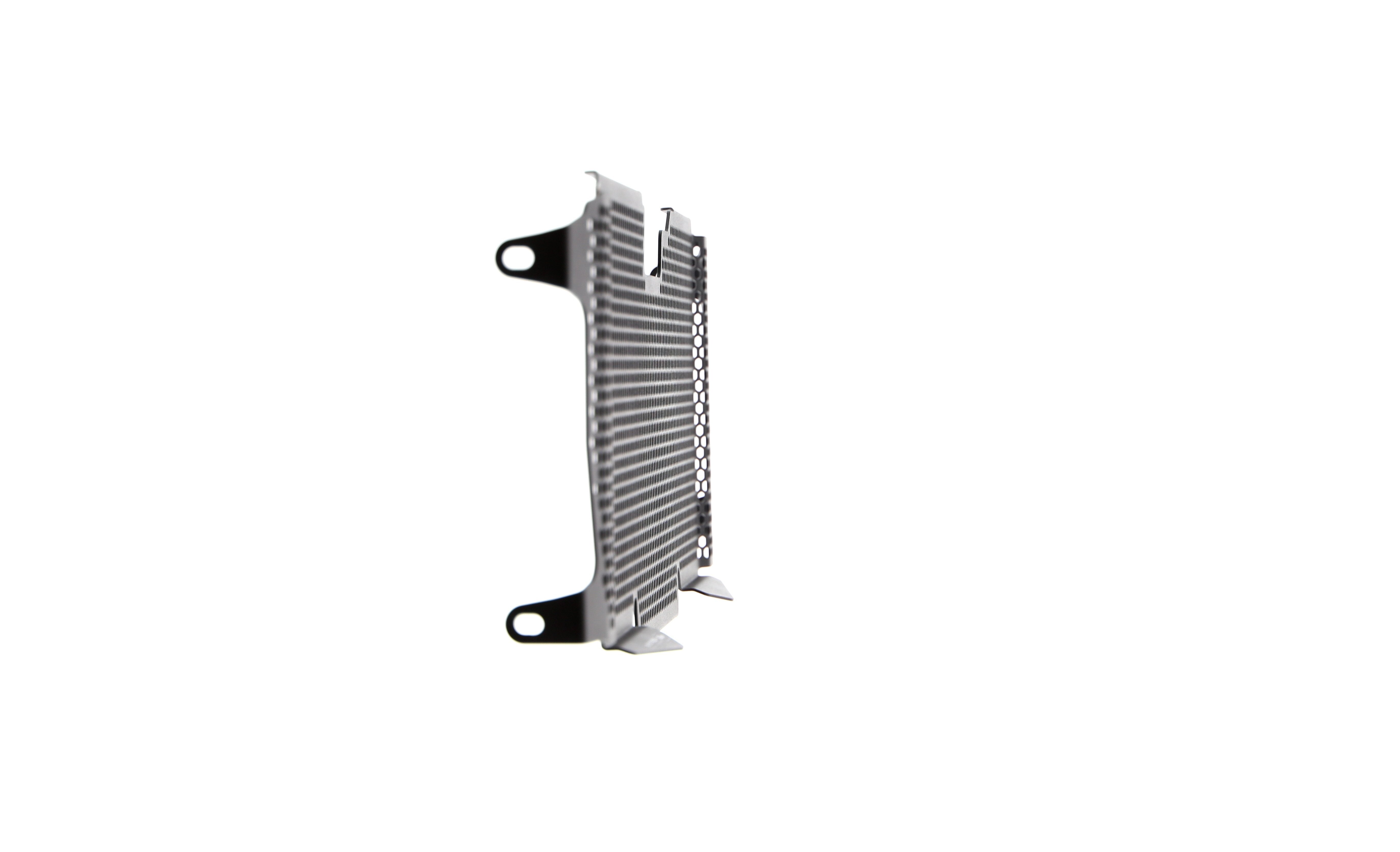 Evotech Radiator Guard - BMW R 1250 RS (2022+)