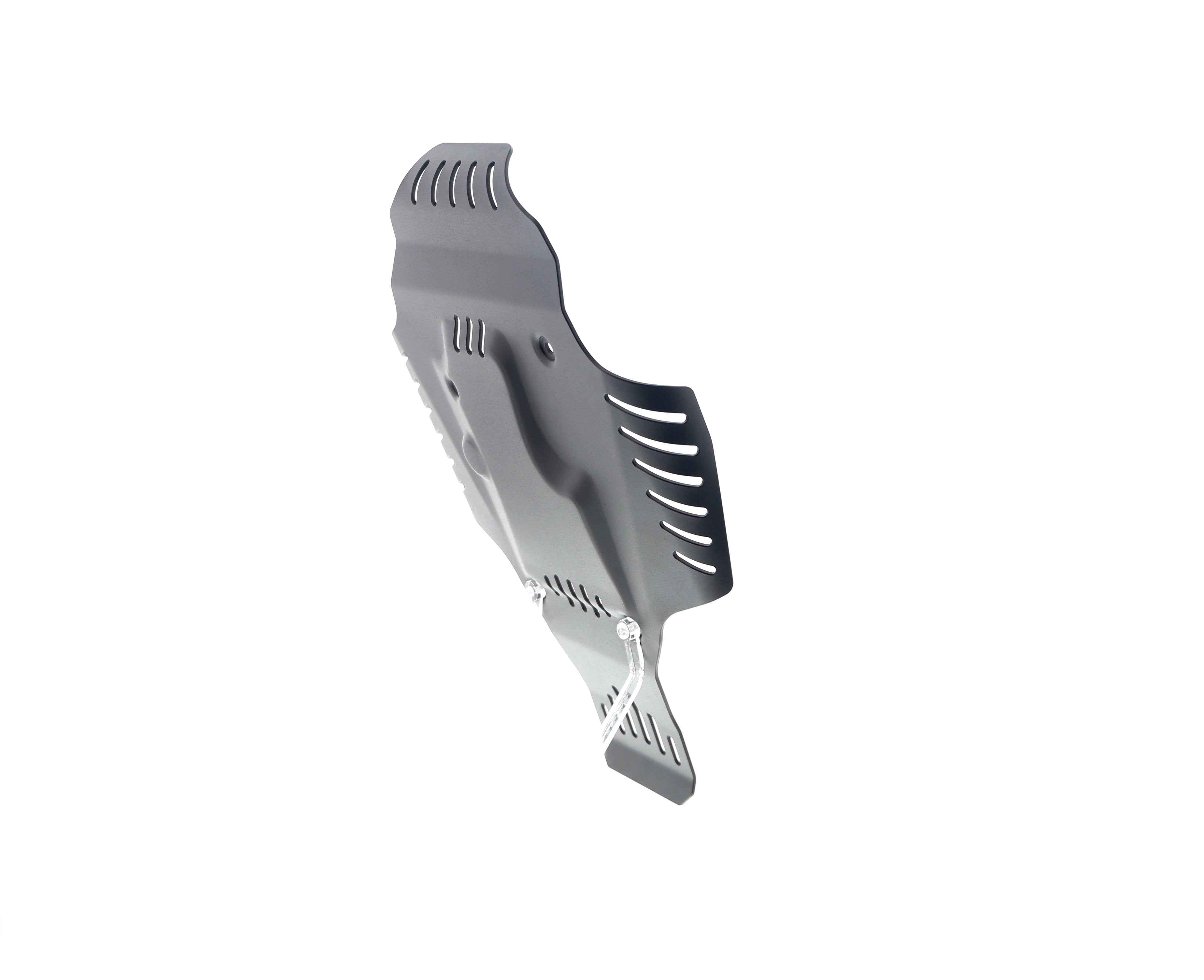 Evotech BMW R 12 nineT Engine Guard (2024+)
