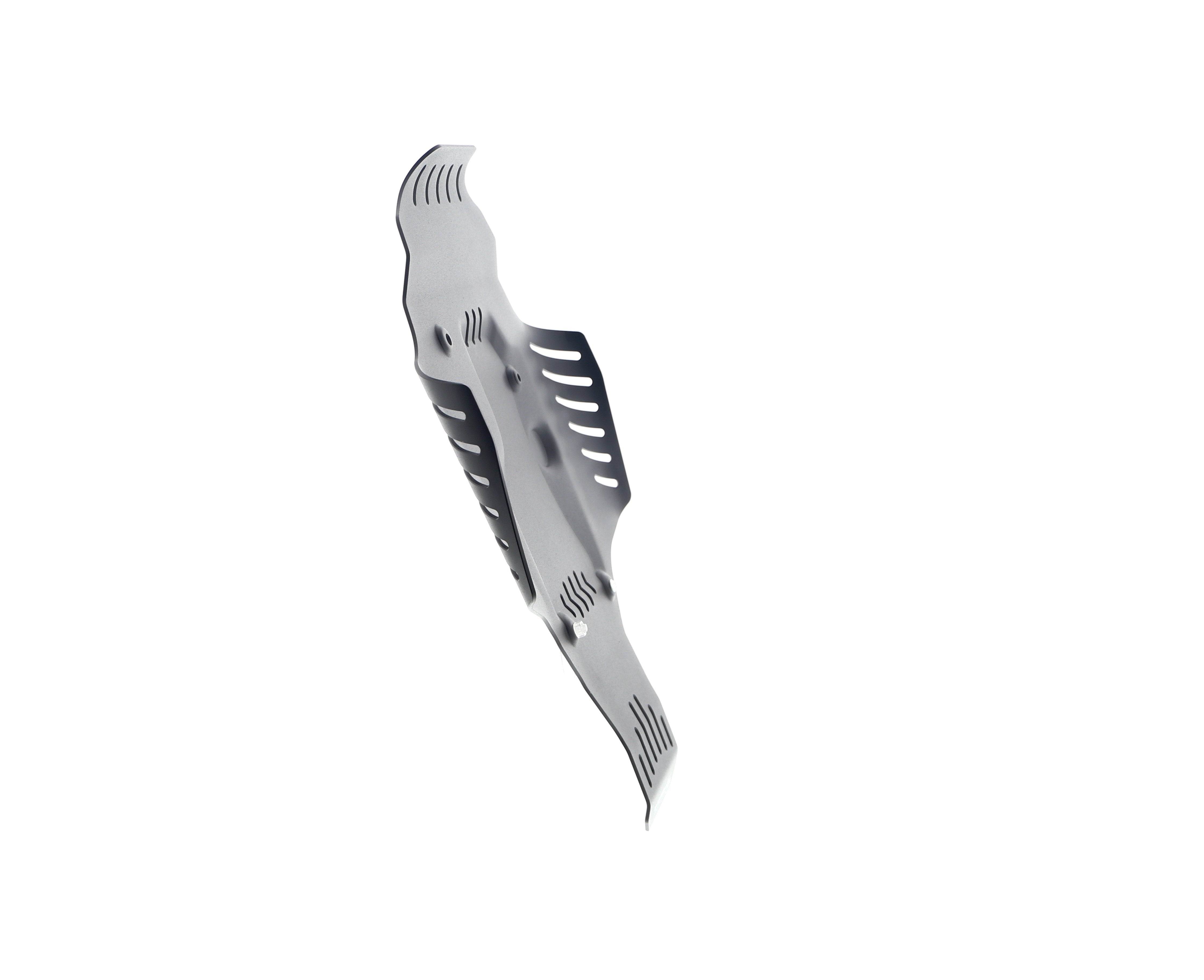 Evotech BMW R 12 nineT Engine Guard (2024+)