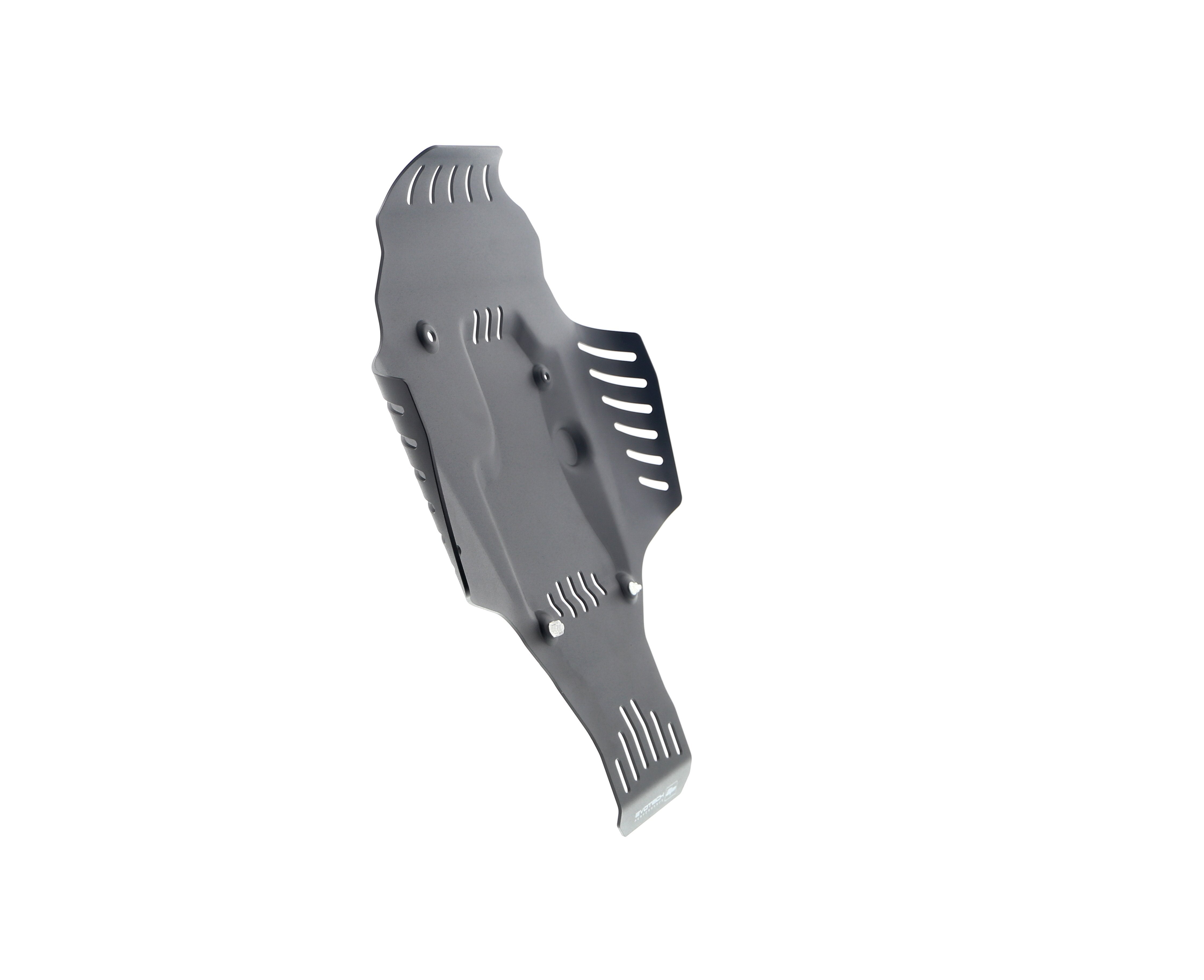Evotech BMW R 12 nineT Engine Guard (2024+)
