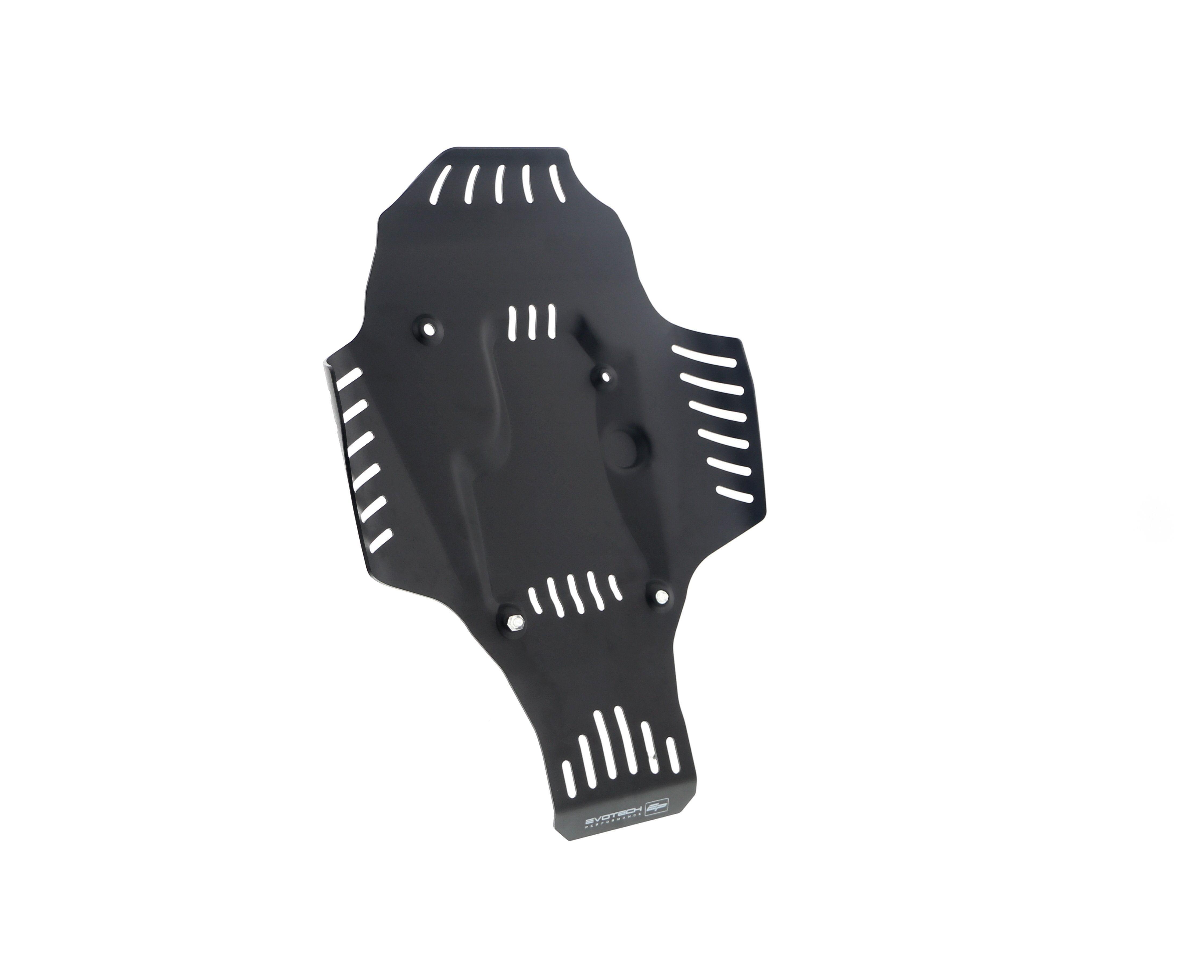Evotech BMW R 12 nineT Engine Guard (2024+)