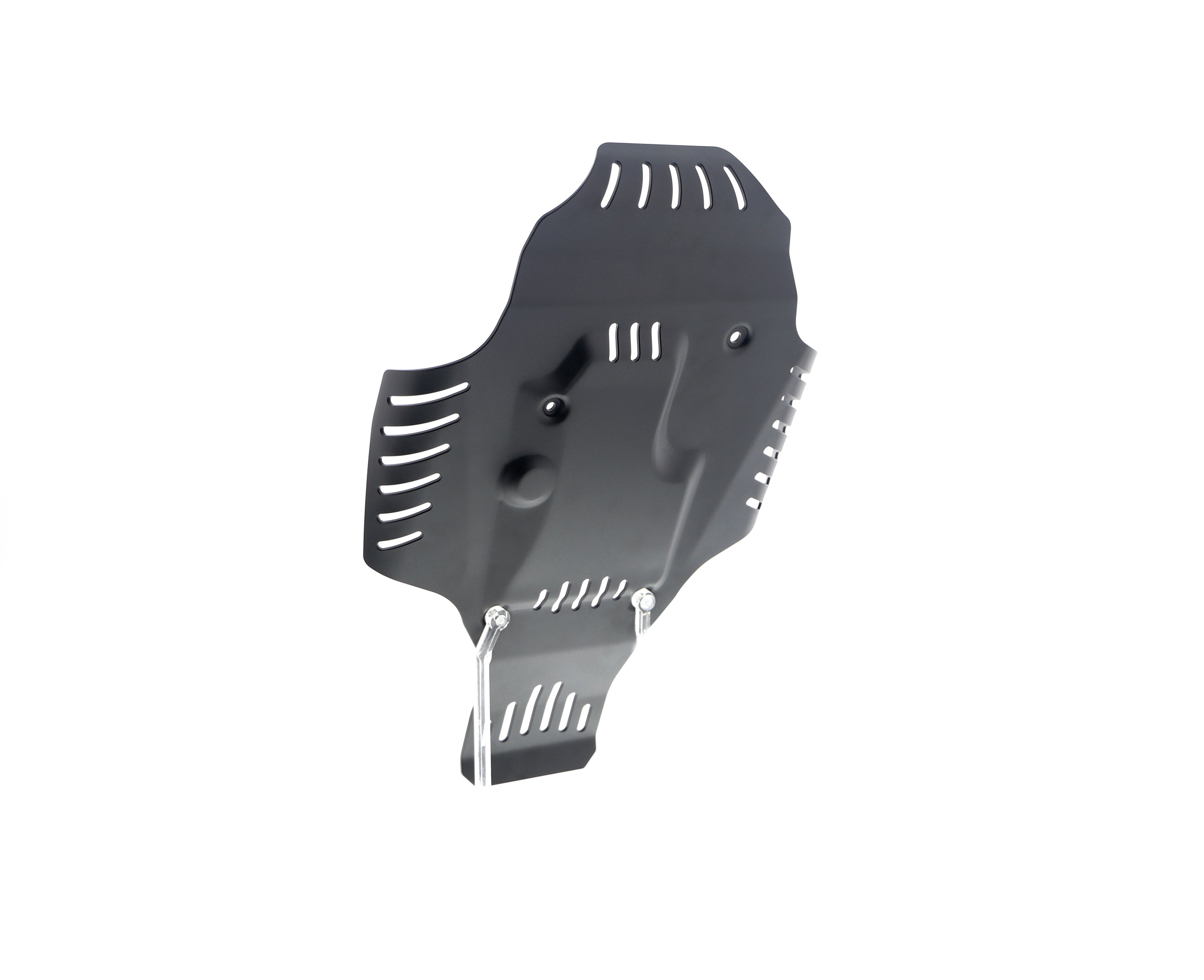 Evotech BMW R 12 nineT Engine Guard (2024+)