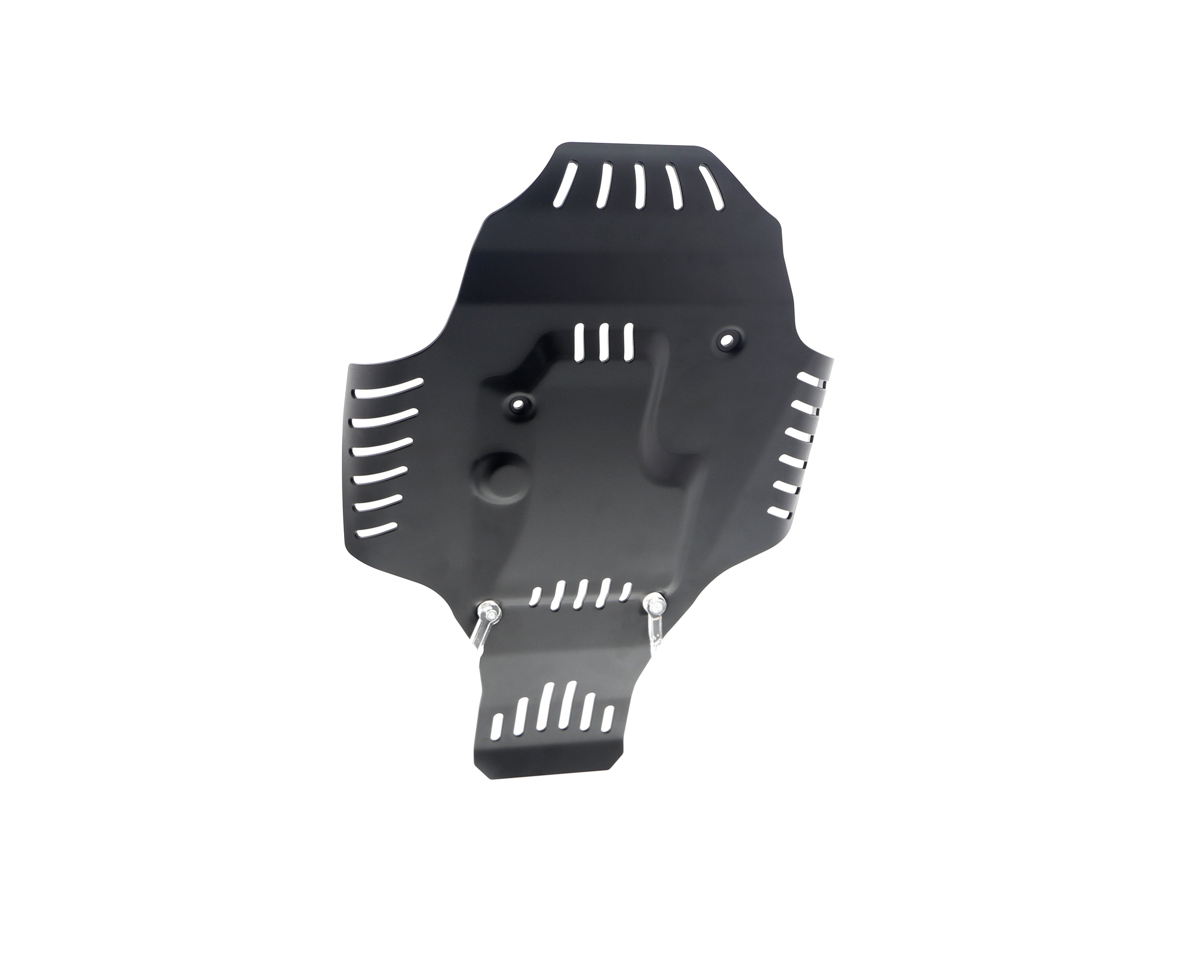 Evotech BMW R 12 nineT Engine Guard (2024+)