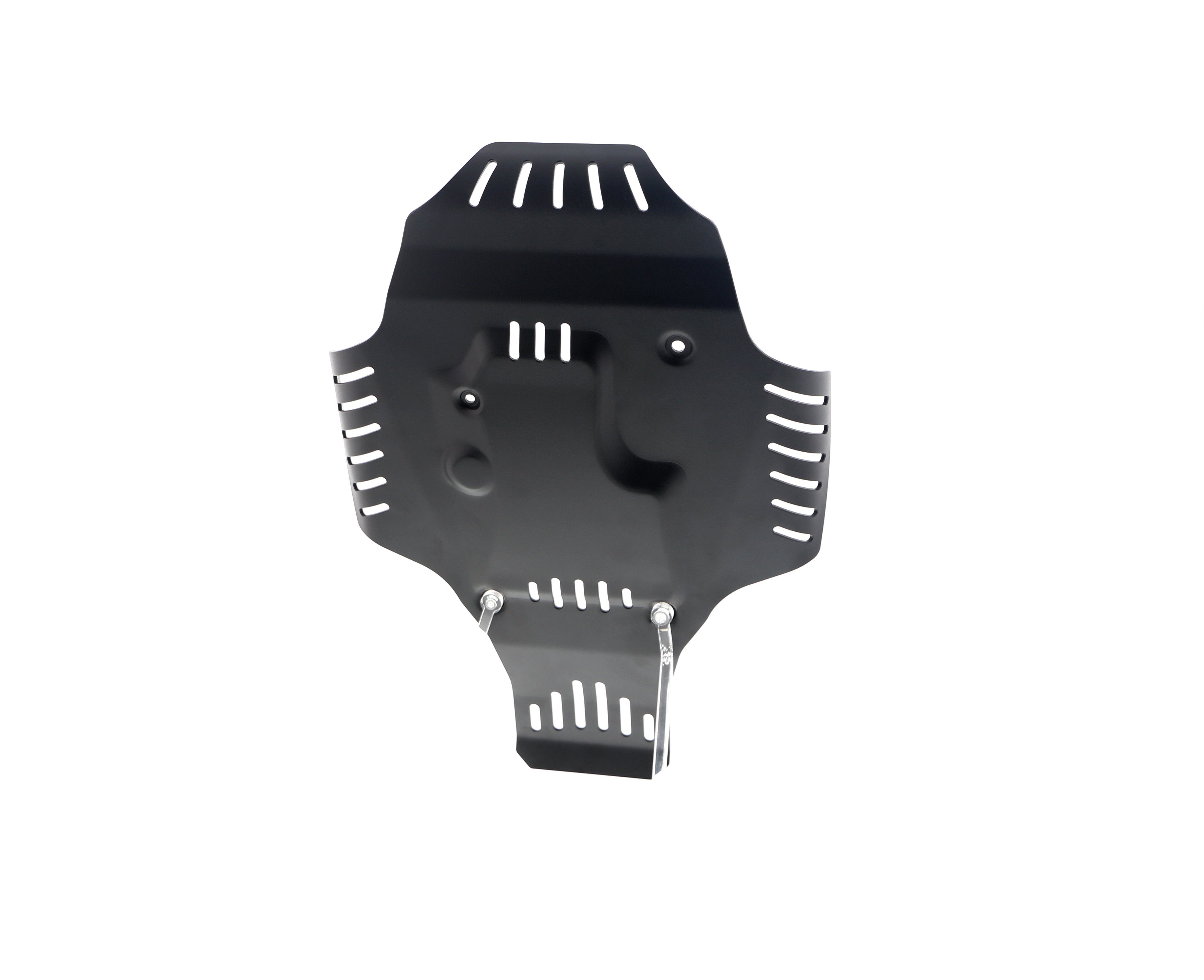 Evotech BMW R 12 nineT Engine Guard (2024+)