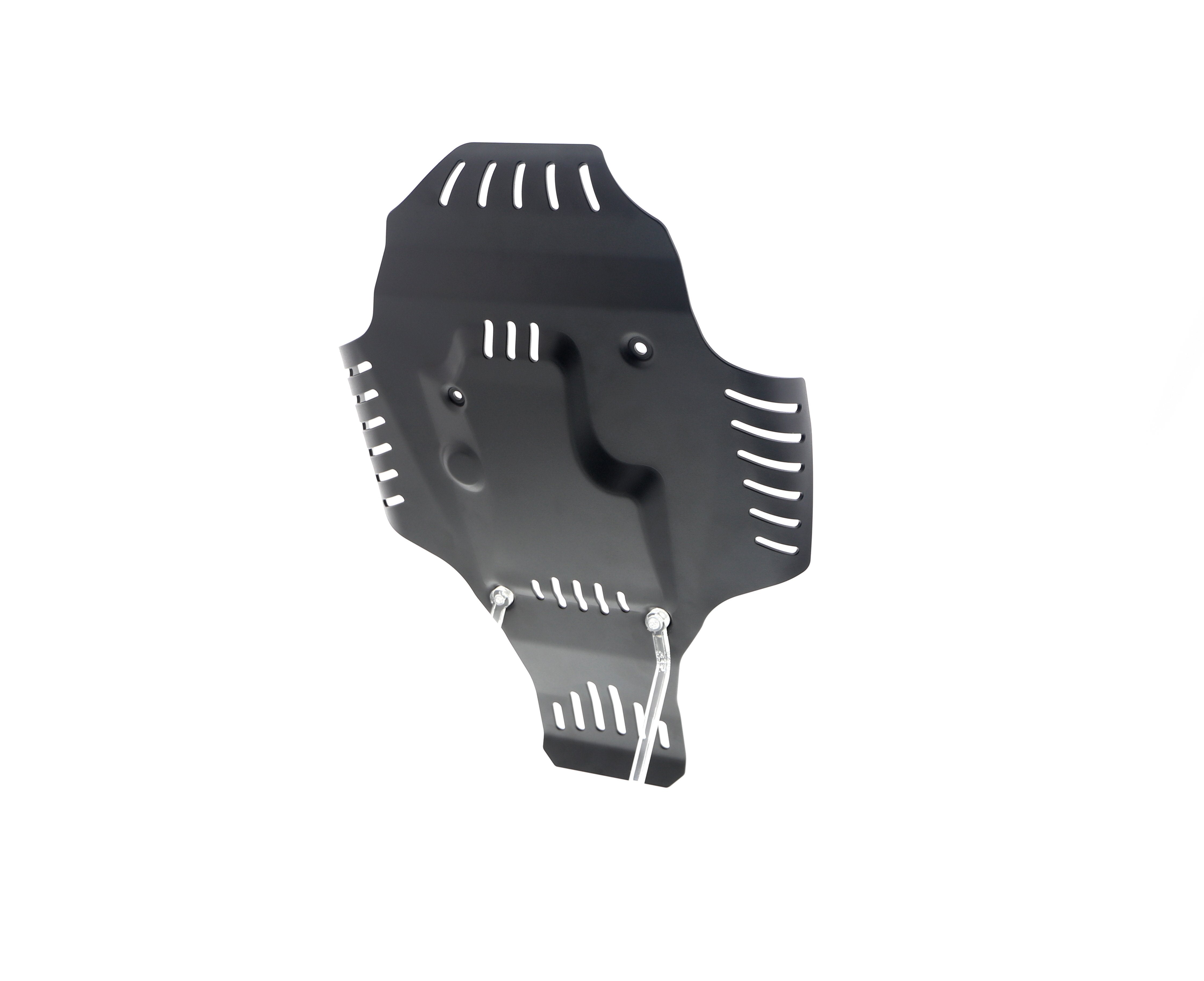 Evotech BMW R 12 nineT Engine Guard (2024+)