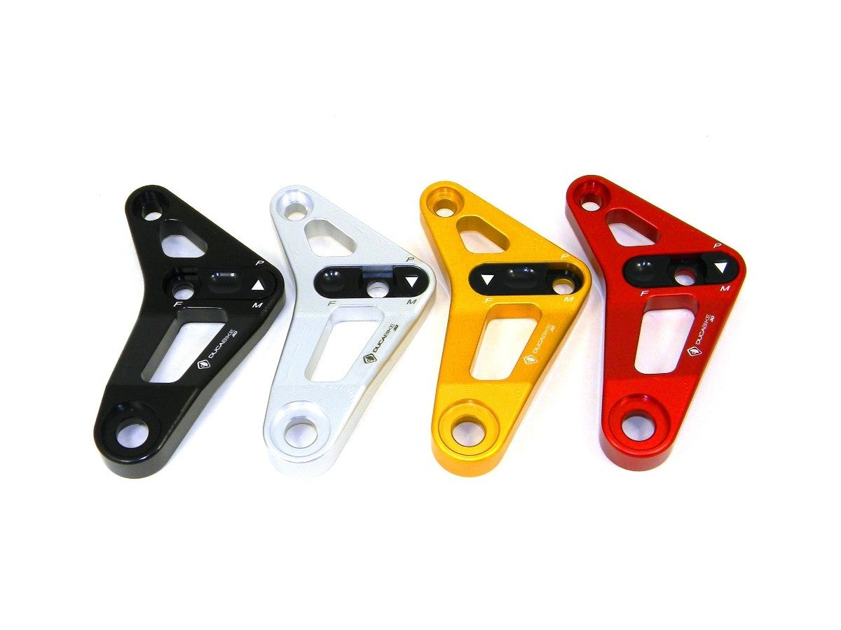 BSP01 - REAR LINK SUSPENSION PANIGALE