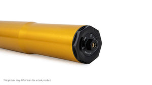 Front fork universal 50/54/800 gold (SET)