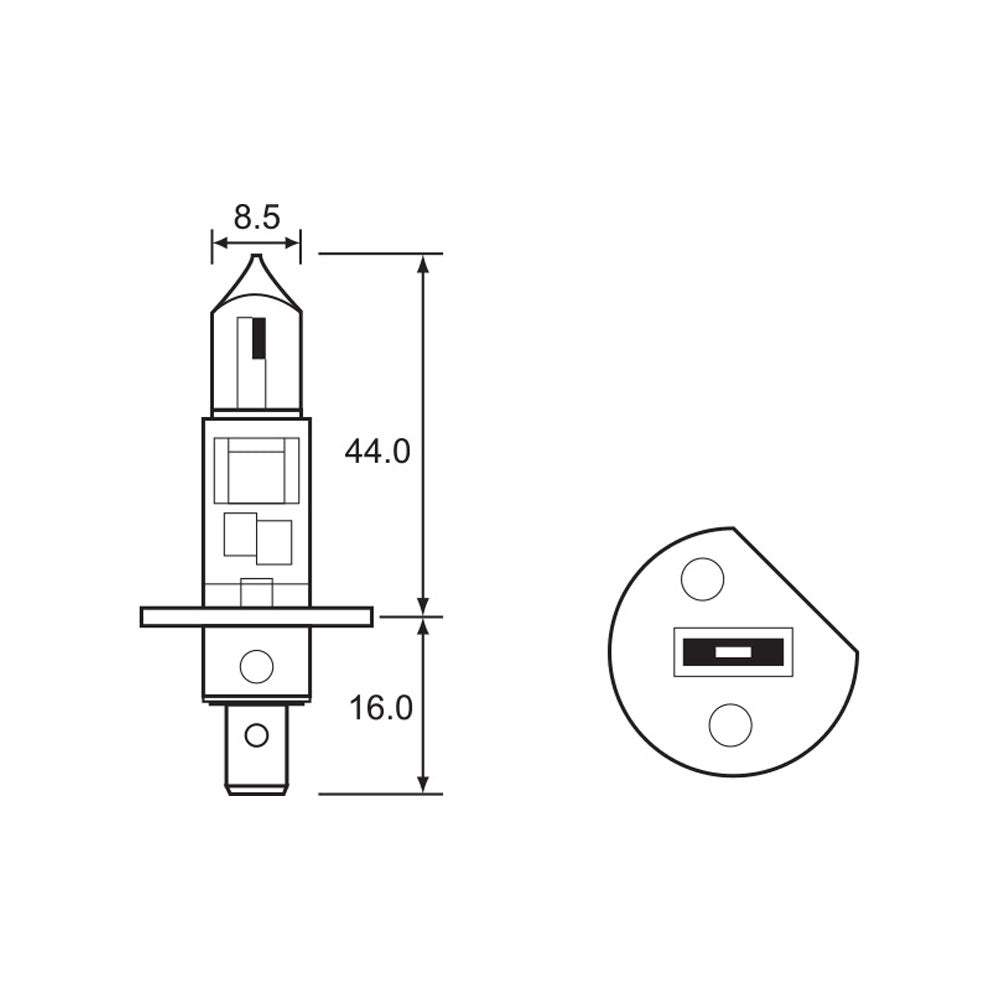 Bulb 12V 55W H1 (1)