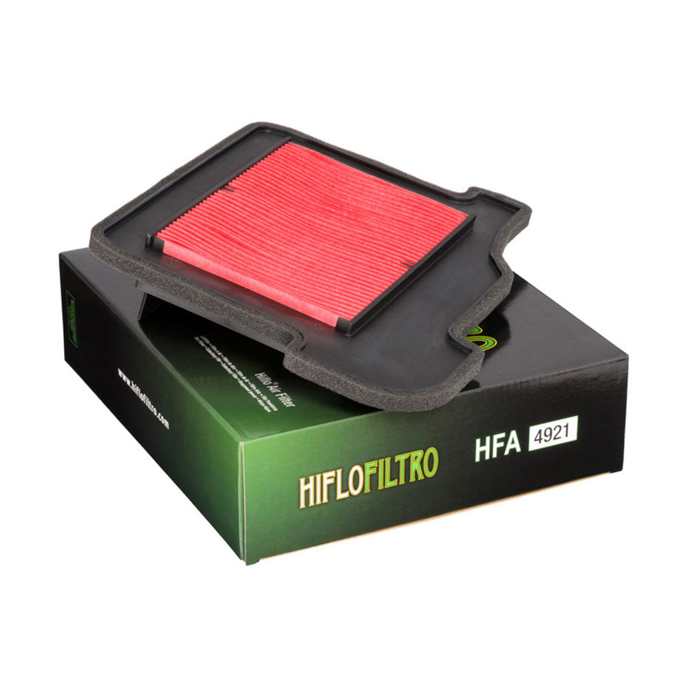HIFLO Air Filter Element HFA4921 YAMAHA
