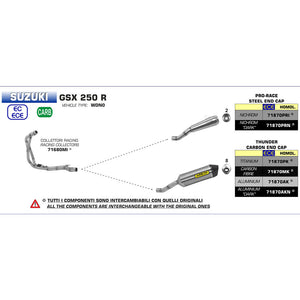 ARROW SUZ Silencer Pro-Race Nichrom Silver with ST End Cap