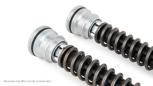 Ducati Panigale V4 R (FL 954) (SET)