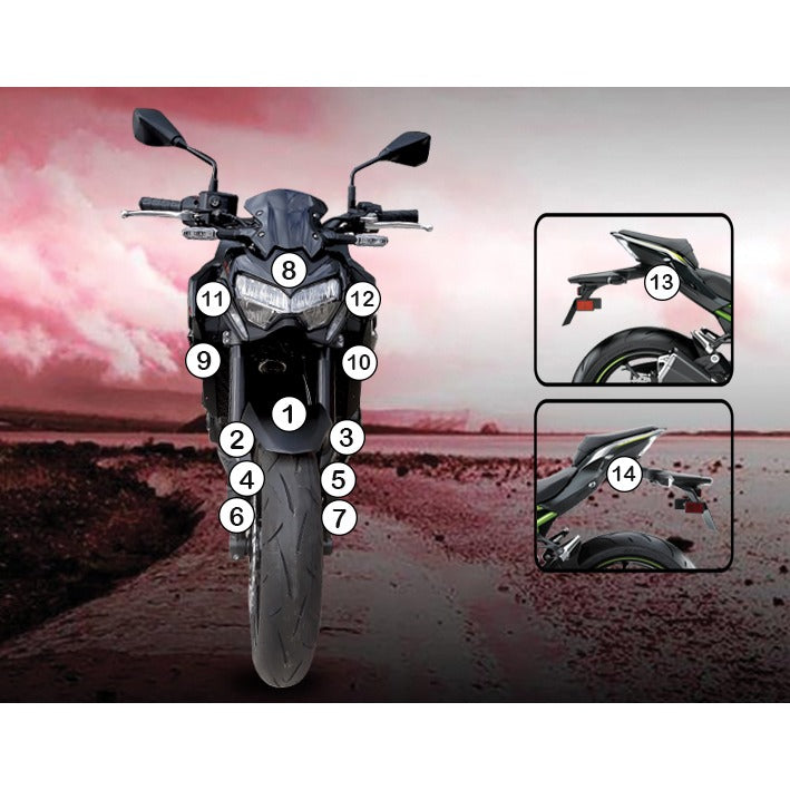 Eazi-Grip Paint Protection Film for Kawasaki Z900, matte